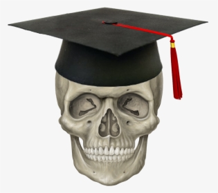 Cap & Skull - Skeleton Head Transparent, HD Png Download, Free Download