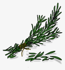 Crushed Rosemary Transparent, HD Png Download, Free Download