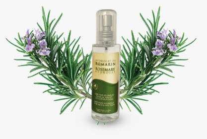 Azoor Rosemary Floral Water Hydrolat By Atlas Cosmetics - Cosmetics, HD Png Download, Free Download