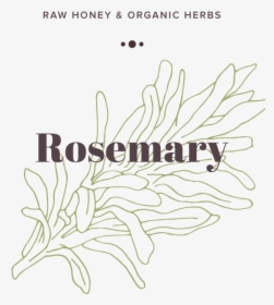 Rosemary, HD Png Download, Free Download
