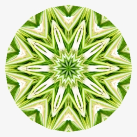 Rosemary Kaleidoscope - Illustration, HD Png Download, Free Download
