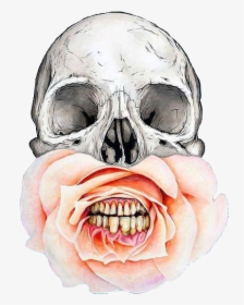 Skull, Flowers, And Rose Image - Skull With Flower In Mouth, HD Png Download, Free Download