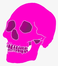 Transparent Skull Aesthetic - Vaporwave Png, Png Download, Free Download