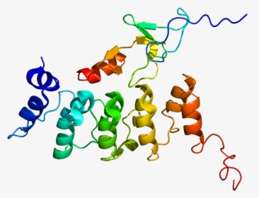 Protein Ilk Pdb 2kbx - Illustration, HD Png Download, Free Download