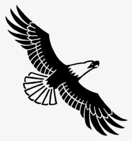 Mikan-eagle - Soaring Eagle Clipart Black And White, HD Png Download, Free Download