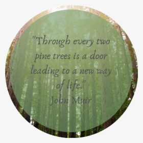 Through Every Two Pine Trees Cropped - Circle, HD Png Download, Free Download