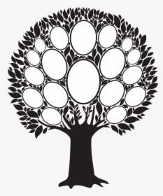 Family Tree Photo Frame Png , Png Download - Empty Family Tree Clip Art, Transparent Png, Free Download
