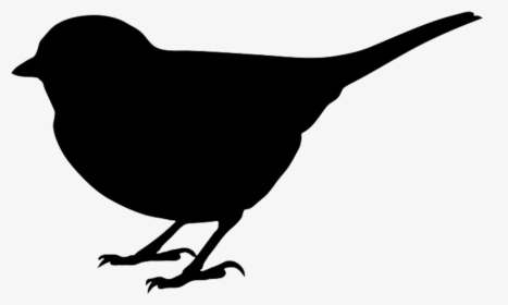 Bird Silhouette Clip Art - Silhouette Bird Clipart Black And White, HD Png Download, Free Download