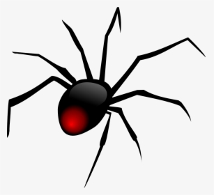 Redback Spider Svg Clip Arts - Spider Clipart Png, Transparent Png, Free Download
