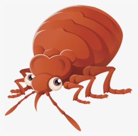 Bed Bug Png - Cartoon Bed Bugs Png, Transparent Png, Free Download