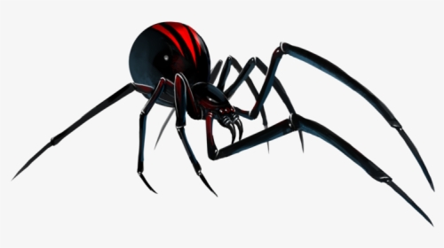 Black Widow Spider Art, HD Png Download, Free Download