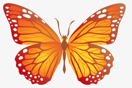 Transparent Pupa Clipart - Orange Butterfly Clipart Png, Png Download, Free Download