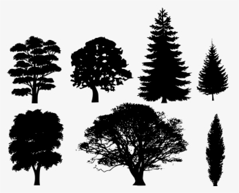 Tree Silhouette Vector Free, HD Png Download, Free Download