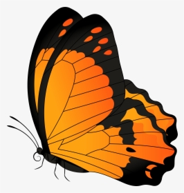 Butterfly Clip Art, HD Png Download, Free Download