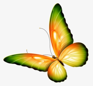Clip Art Photoshop - Butterfly Clipart Transparent, HD Png Download, Free Download