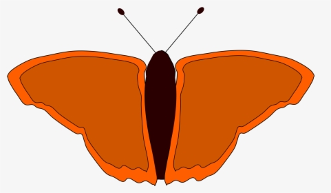 Transparent Orange Butterfly Png - ภาพ การ์ตูน ผีเสื้อ ภาพ โปร่งใส, Png Download, Free Download