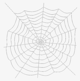 Spider Web Png Transparent Background - Spider Webs Transparent Background, Png Download, Free Download