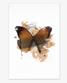Orange Butterfly Art Card - Brush-footed Butterfly, HD Png Download, Free Download