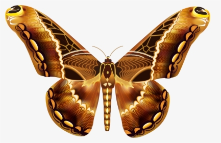 Beautiful Butterflies With Transparent Background, HD Png Download, Free Download