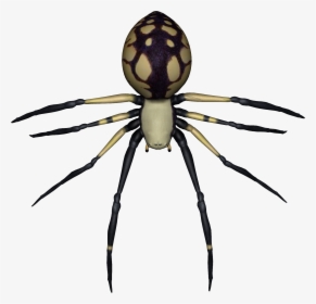 Spider Png Image - Transparent Background Spider, Png Download, Free Download