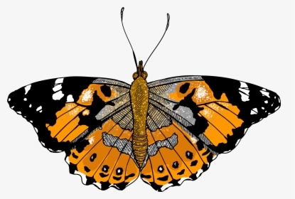 Lady Butterfly Png - Clip Art, Transparent Png, Free Download