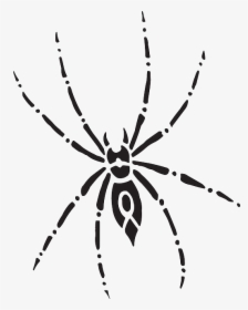 Arachnid Spider, Body, Eight, Art, Legs, Arachnid - Spider Top View, HD Png Download, Free Download