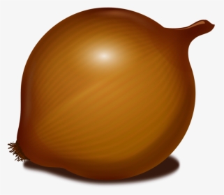 Food,ingredient,onion - Cartoon Image Of Onion, HD Png Download, Free Download