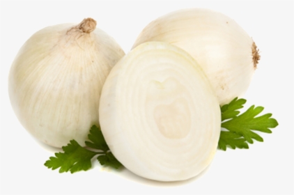 Onion , Png Download - Onion, Transparent Png, Free Download