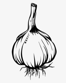 Onion Clipart Drawing - Yellow Onion, HD Png Download, Free Download