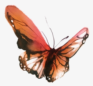 Pretty Butterfly Tattoos Watercolour - Small Watercolor Butterfly Tattoo, HD Png Download, Free Download