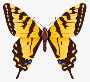 Tiger Swallowtail Butterfly Png, Transparent Png, Free Download