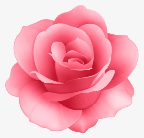 Free Png Download Rose Flower Png Images Background - Transparent Background Pink Rose Png, Png Download, Free Download