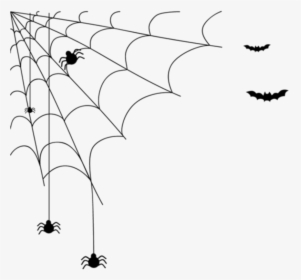 #halloween #net #spider #bats #bat #spiders - Teia De Aranha Desenho Halloween, HD Png Download, Free Download