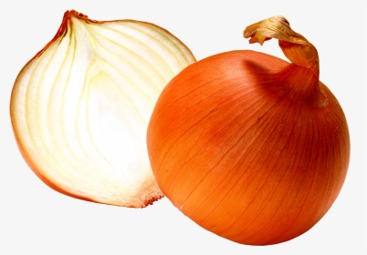 White Onion Png, Transparent Png, Free Download