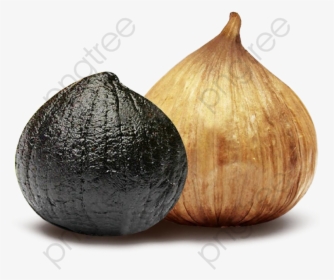Transparent Garlic Clipart Black And White - Black Garlic Background, HD Png Download, Free Download