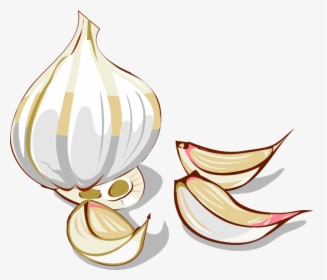 Onion Clipart Shallot Garlic Clipart - Garlic Clipart Png, Transparent Png, Free Download