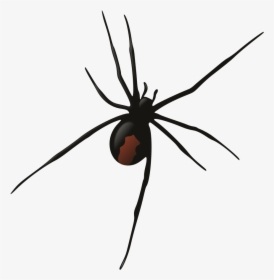 Red Back Spider Clipart, HD Png Download, Free Download