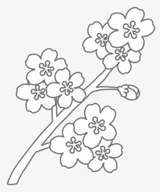 Coloring Book Floral Design Black And White - 塗り絵 簡単 高齢 者, HD Png Download, Free Download