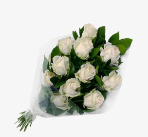 White Roses Png Background Clipart - Teddy Bear With White Rose, Transparent Png, Free Download