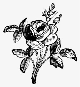Black And White Flower Png, Transparent Png, Free Download