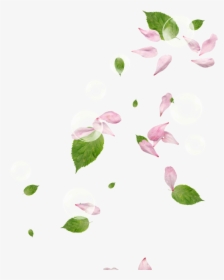 Pink Flower Petals - Dont Be Afraid To Give Up The Good To Go For The Great, HD Png Download, Free Download