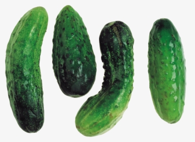 Cucumber Png Image - Portable Network Graphics, Transparent Png, Free Download