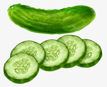 Cucumber Vegetable Clip Art - Transparent Background Cucumber Png, Png Download, Free Download