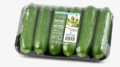 Mini Cucumbers 6ct, HD Png Download, Free Download