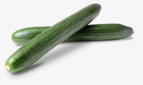 Clip Art Fresh Non Gmo Cucumbers - Cucumber, HD Png Download, Free Download