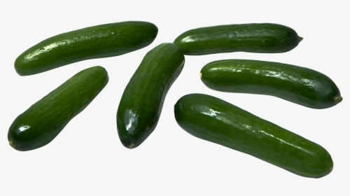 Custard Apple Png Transparent Image - Cucumber, Png Download, Free Download