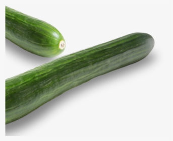 Cucumber, HD Png Download, Free Download