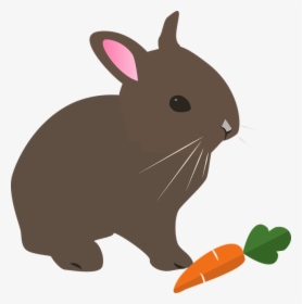 Free Photo Rabbit Spring Hare Animal Pet Easter Nature - Kelinci Png, Transparent Png, Free Download