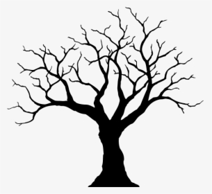 Png Alpha Channel Doesn"t Work In Snow Leopard - Tree Drawing Png, Transparent Png, Free Download