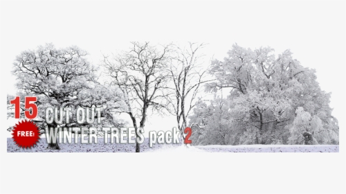 Free Winter Trees Png Pack - Winter Trees Snow Png, Transparent Png, Free Download